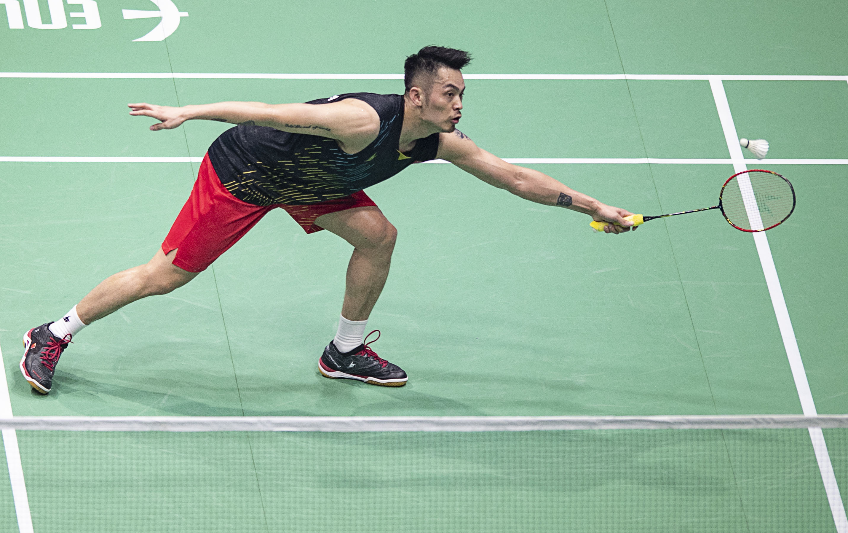 王楚钦凭借 王楚钦凭借