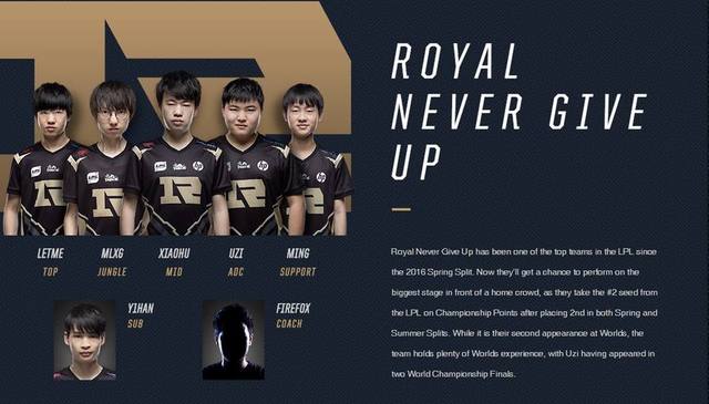 韧带或骨骼 韧带或骨骼